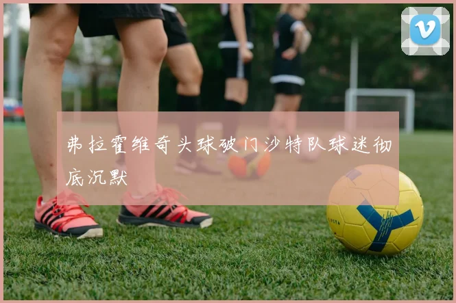弗拉霍维奇头球破门沙特队球迷彻底沉默