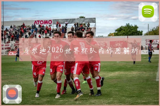 马尔迪2026世界杯队内作用解析