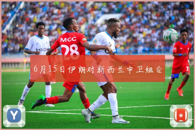 6月15日伊朗对新西兰中卫组合