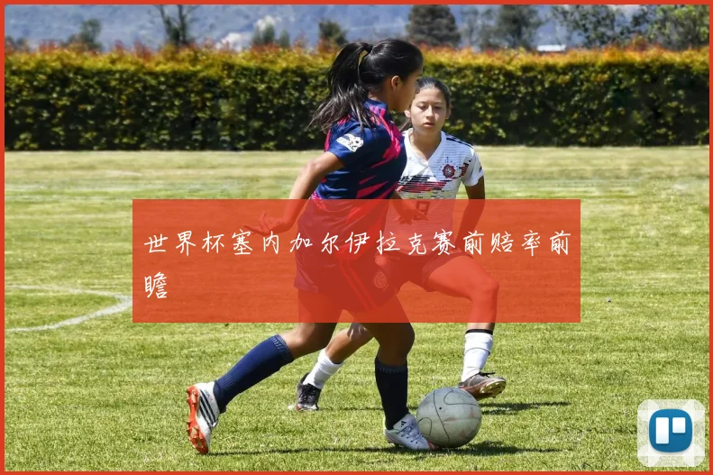 世界杯塞内加尔伊拉克赛前赔率前瞻