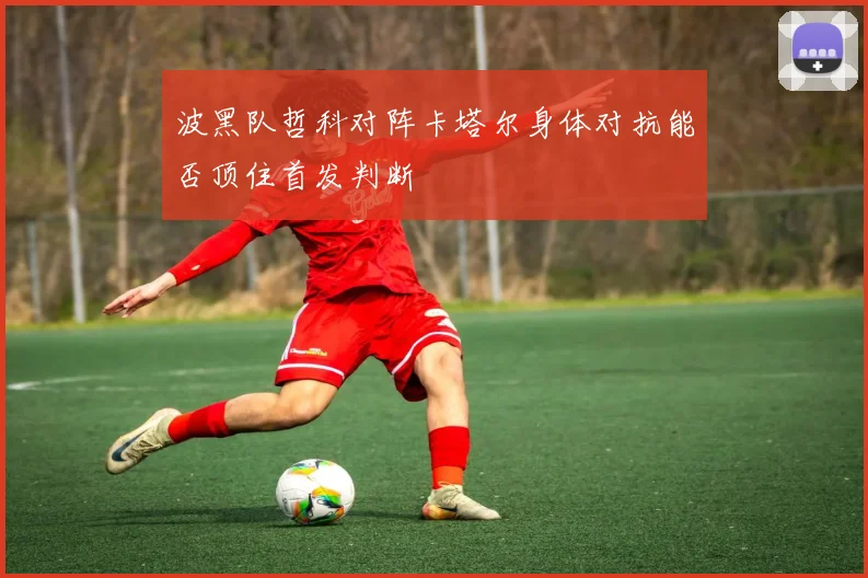 波黑队哲科对阵卡塔尔身体对抗能否顶住首发判断