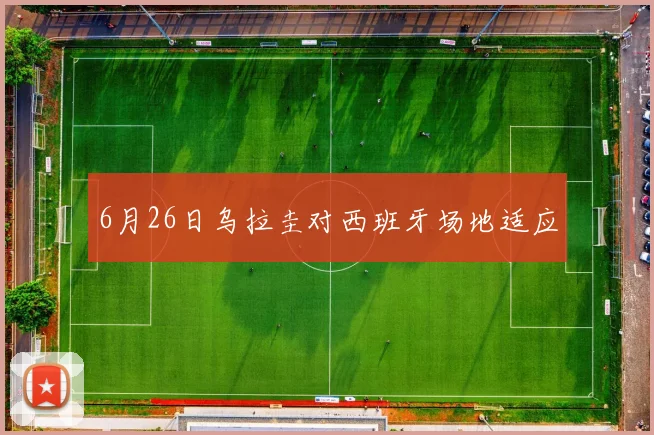 6月26日乌拉圭对西班牙场地适应